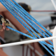 Kyra as main trimmer for Team Q, the sailing team she manages.